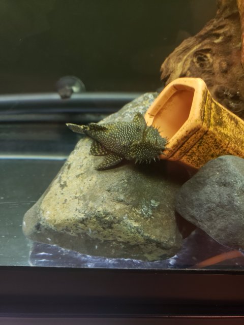 20191104_174122.jpg 20191104_174122.jpg