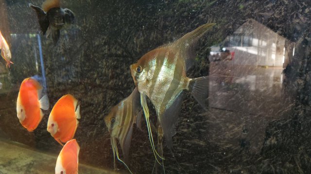 20190802_183549.jpg