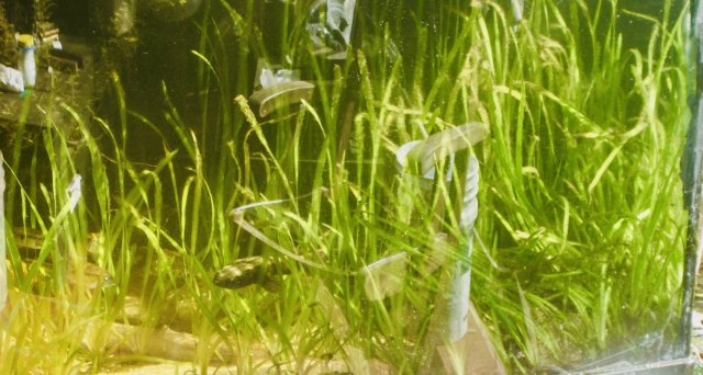 EBA5B128-92E0-42CA-A5E8-4A50FDE9D33C_1_201_a.jpeg