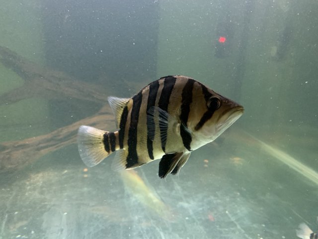 9DFAB5BB-80B9-49CD-AC85-32DF29116447.jpeg