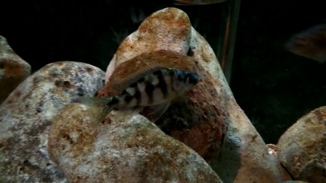 20191105_210449.jpg 20191105_210449.jpg