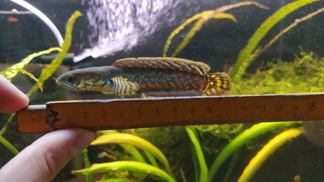 IMG_20191006_203703_1.jpg IMG_20191006_203703_1.jpg