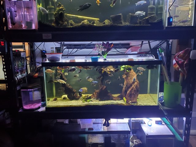 20191105_070846.jpg
