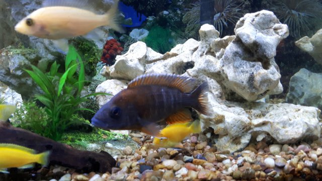 20191107_145827.jpg 20191107_145827.jpg