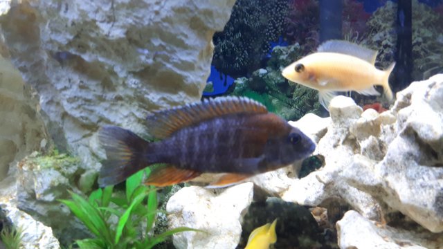 20191107_145822.jpg 20191107_145822.jpg