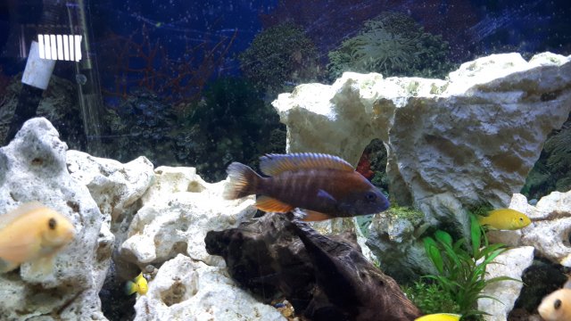 20191107_145813.jpg 20191107_145813.jpg