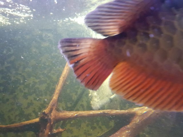 20191108_182305.jpg 20191108_182305.jpg