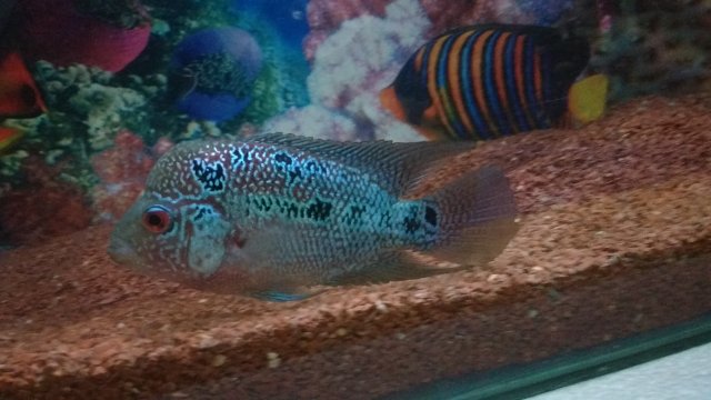 IMG_20191108_223634960.jpg