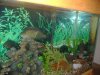 fish 005.jpg