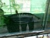 IMAGE_00031.jpg