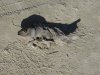 DSC02074.JPG