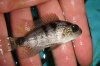 DSC00435.JPG