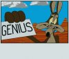 genius.jpg