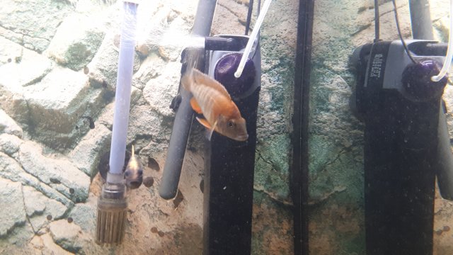 20191106_203436.jpg 20191106_203436.jpg