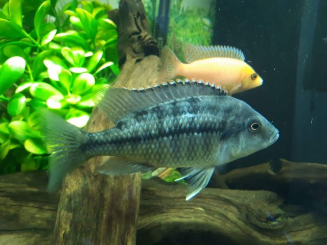 received_463063817666114.jpeg received_463063817666114.jpeg