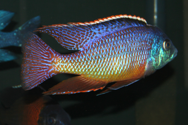 1573490763613.png 1573490763613.png