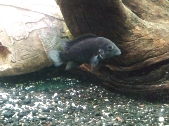 20191111_153904.jpg