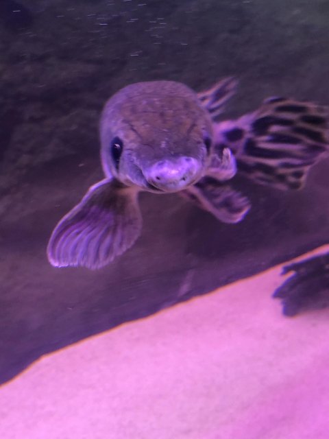 IMG_8042.jpg IMG_8042.jpg