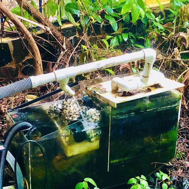 52BEB5F7-FB39-4919-A850-1355548EEDE7_1_201_a.jpeg 52BEB5F7-FB39-4919-A850-1355548EEDE7_1_201_a.jpeg