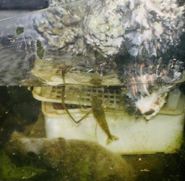 3355CD78-2574-4555-81C7-C737D70233A7_1_201_a.jpeg 3355CD78-2574-4555-81C7-C737D70233A7_1_201_a.jpeg