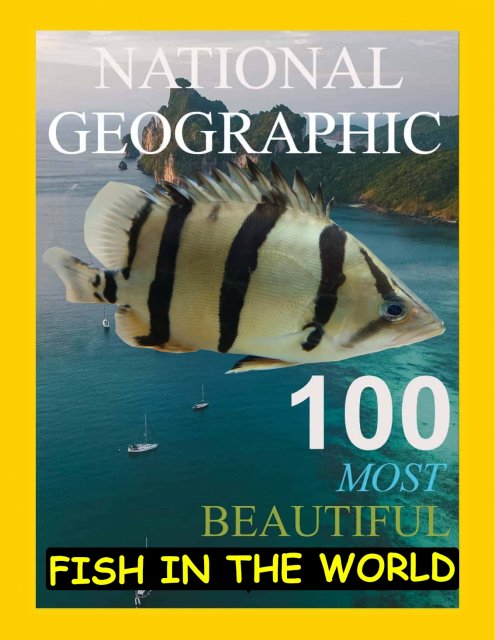 Nat Geo Dat 2.jpg