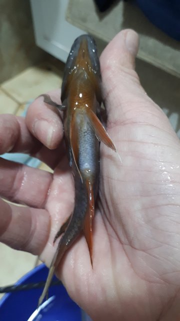 20191114_141505.jpg 20191114_141505.jpg