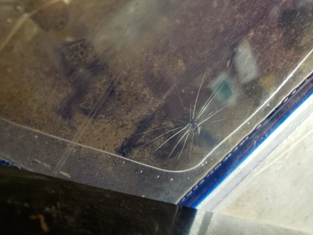 20191117_200347.jpg 20191117_200347.jpg