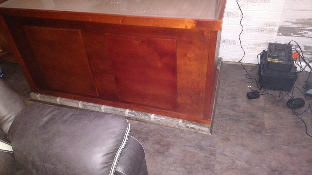 IMG_20191118_053518794.jpg IMG_20191118_053518794.jpg