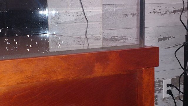 IMG_20191118_053420797.jpg IMG_20191118_053420797.jpg