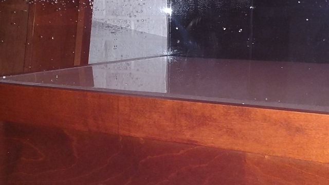 IMG_20191118_053412866.jpg IMG_20191118_053412866.jpg