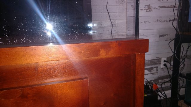 IMG_20191118_053400475.jpg IMG_20191118_053400475.jpg