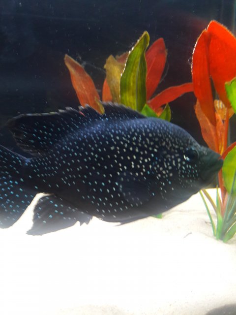 20191119_151606.jpg