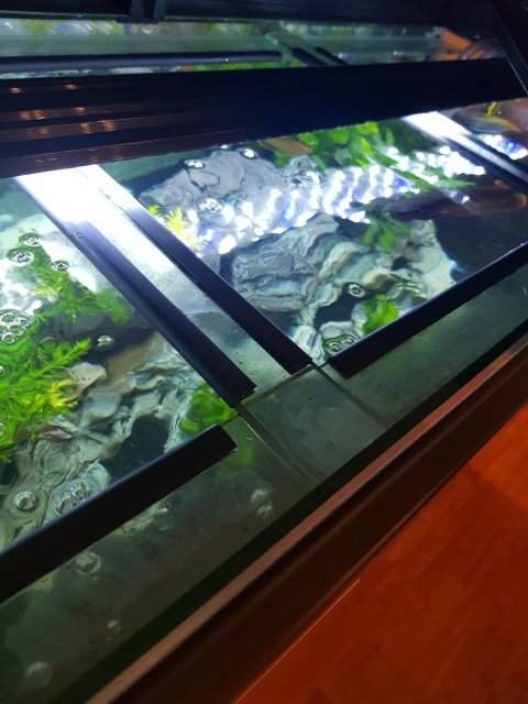 Tank Bracing Protection 2.jpg