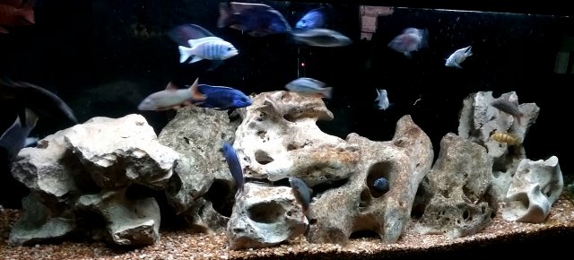 20191120_100110.jpg 20191120_100110.jpg