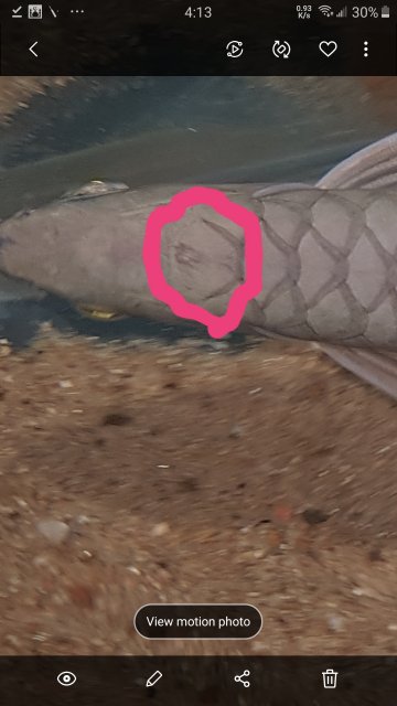 20191123_041346.jpg