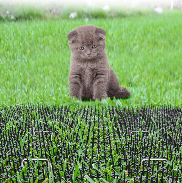 Screenshot_20191123-150730~2.png Screenshot_20191123-150730~2.png