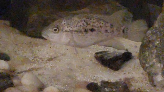1123192142a.jpg