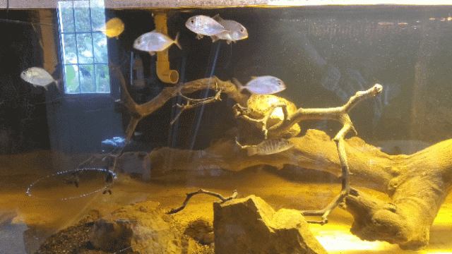 20191102_121930_1.gif