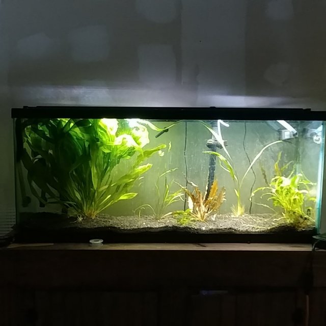 20190919_085140.jpg