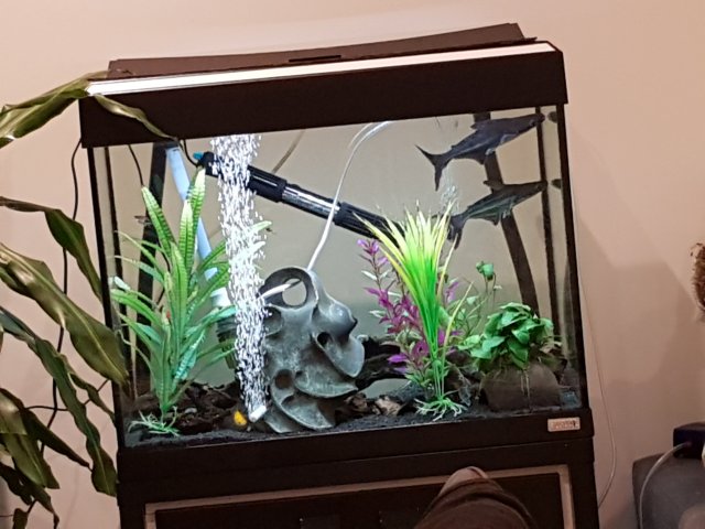20191128_153251.jpg 20191128_153251.jpg