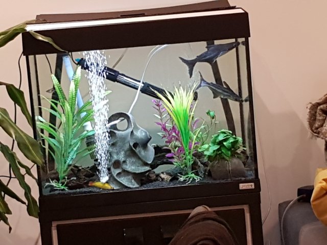 20191128_153253.jpg 20191128_153253.jpg