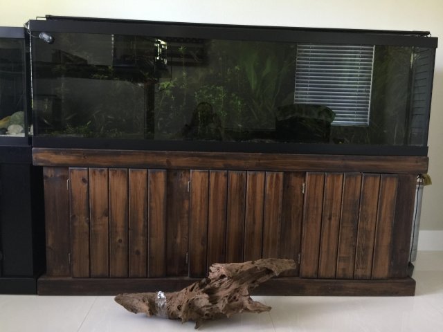 New wood by 125g.jpg New wood by 125g.jpg