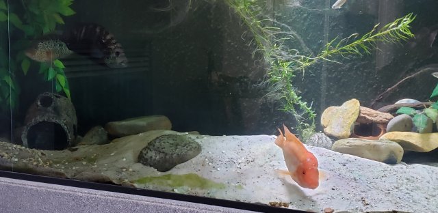 20191130_133148.jpg