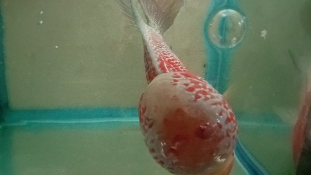 IMG20191201084306.jpg