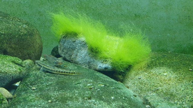 20190923_144052.jpg
