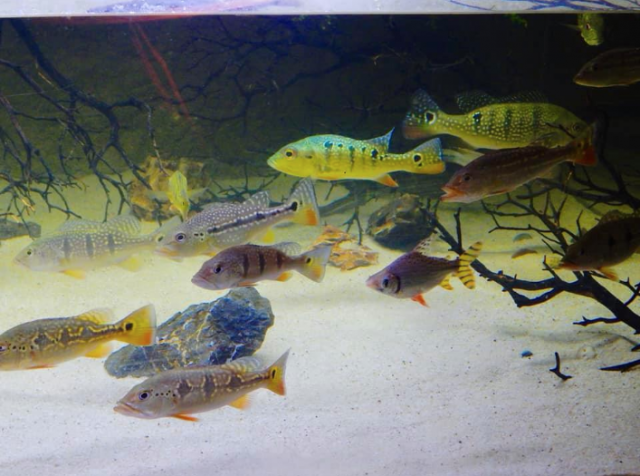 Screen Shot 2019-12-01 at 8.00.36 PM.png