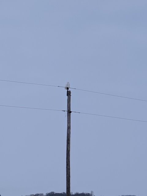 90D7D5D9-B885-4D35-9448-005230B70721.jpeg