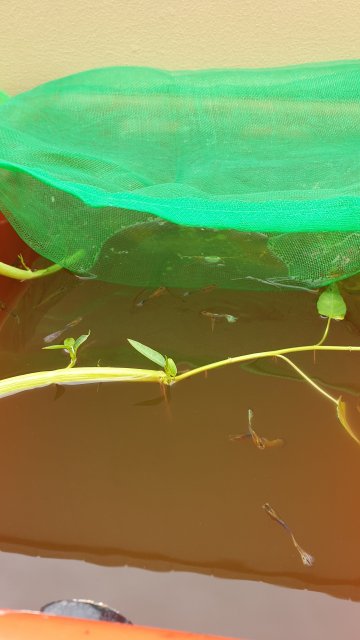 20191119_130524(0).jpg