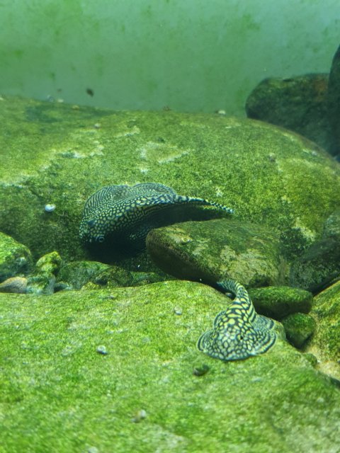 20190919_171647.jpg