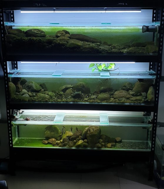 20191115_151407 (2).jpg